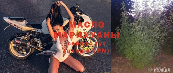 мдпв Бородино