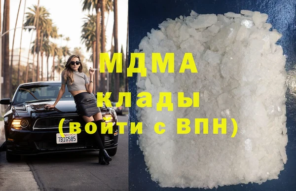 мдпв Бородино