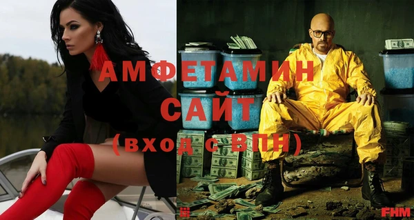 мдпв Бородино
